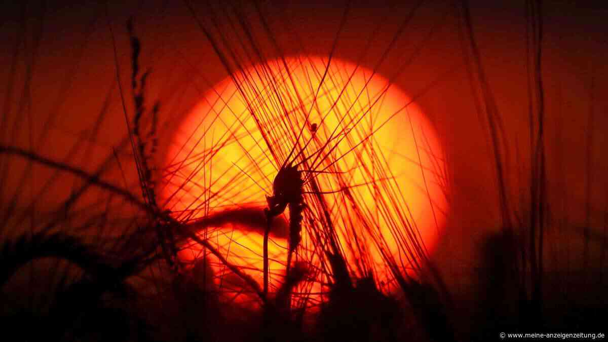 Wichtiger Lostag am 27. Juni könnte kompletten Sommer entscheiden – Erste Wetter-Tendenz zeichnet sich ab