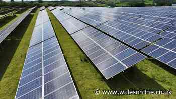 Developers given extra five years to build new Bridgend solar farm