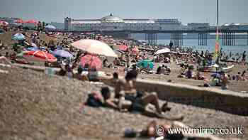 Met Office heatwave warning as maps show UK faces 37C and 21 counties above 30C