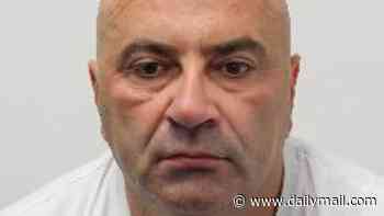 On-the-run rapist who fled Britain on Eurostar after being wrongly freed from jail says he was not challenged by anyone at any point on his journey