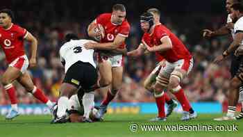 New Wales TV announcement as broadcaster to show all Nations Championship fixtures