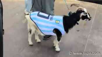 Jameis Winston dresses goat as Messi in tribute to...