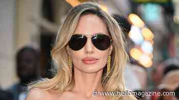 Angelina Jolie's $5k plunging dress steals the show at NYC screening