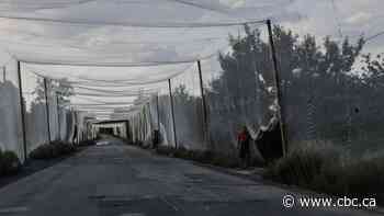 Inside Ukraine’s kill zone