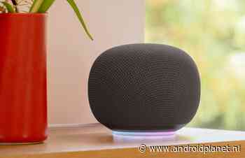 Google Home Speaker officieel: Gemini-speaker heeft verrassing in petto