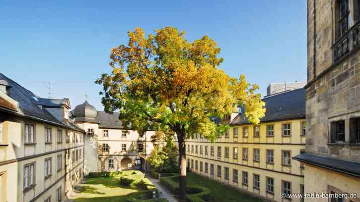 Weniger Erstsemester an der Uni Bamberg erwartet