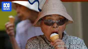 Japan raids ice cream companies over alleged price fixing cartel