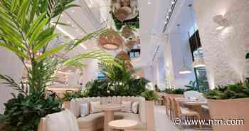 Pura Vida Miami snags execs from Sweetgreen, Shake Shack and Oakberry