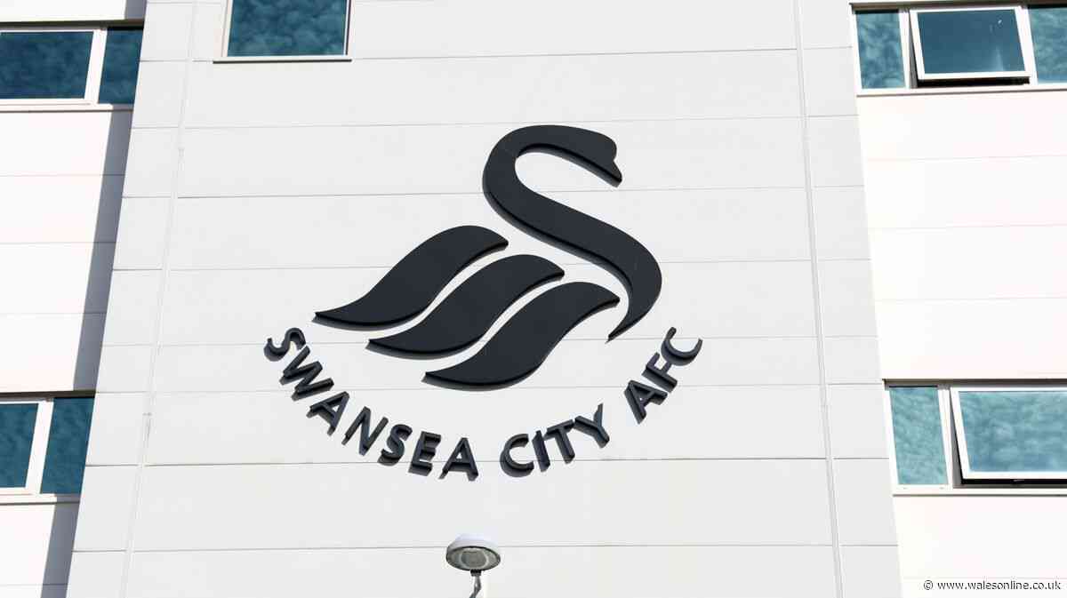 What exactly Ben Stevens will bring to Swansea City and where his expertise lies