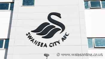 What exactly Ben Stevens will bring to Swansea City and where his expertise lies
