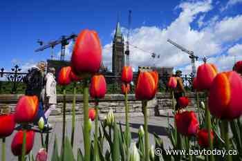 StatCan estimates population edged lower in the first quarter of 2026