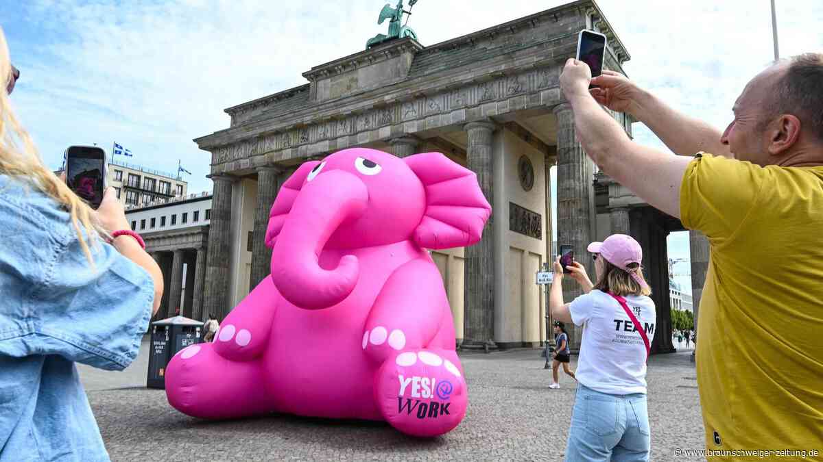 „Betroffene fühlen sich zu oft einsam“ – Krebs-Messe in Berlin soll das ändern