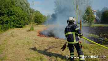 Flächenbrand in Boberg gelöscht – auch eine Drohne kommt zum Einsatz