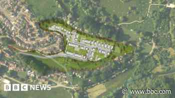 Fear 'pocket of paradise' will be lost to new homes