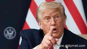 Trump launches foul-mouthed rant about Obama while discussing his peace deal at G7 conference