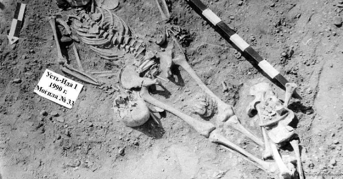 Vroege pestbacteriën konden al flink wat  slachtoffers maken, 5.500 jaar geleden