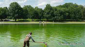 Workers dump hydrogen peroxide into reflecting pool to fight algae 
