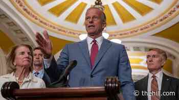 Thune: 'The votes currently aren’t there' to get rid of filibuster, pass Save America Act
