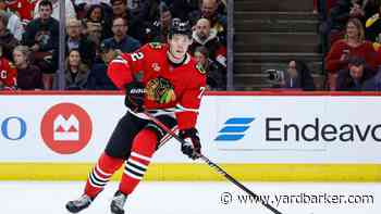 Chicago Blackhawks’ Defense Corps: Quality or Quantity?
