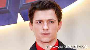 Tom Holland's plans to 'disappear' from Hollywood after starting a family with Zendaya
