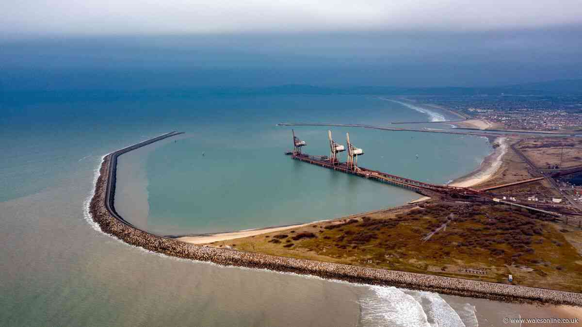 Celtic Freeport sets out five-year growth and delivery plan