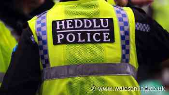 Devolution of policing an immediate priority for Welsh Government, says minister