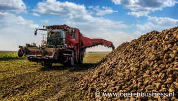 Hogere kosten vreten winst op voor akkerbouw in 2026