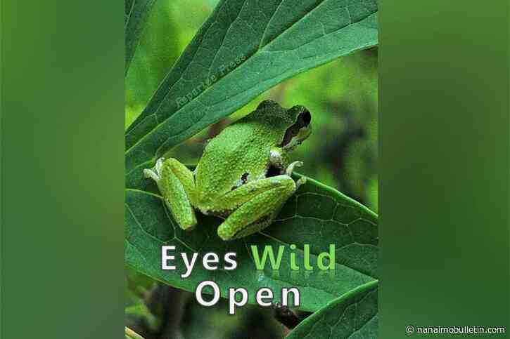 Anthology of nature poems featuring Nanaimo writers