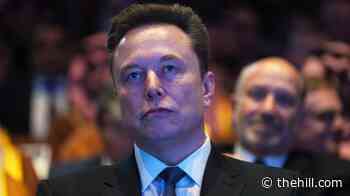 Pentagon AI chief: Musk's Grok chatbot used to launch thousands of missiles at Iran