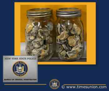 Lost hiker tripping on mushrooms calls police, gets arrested