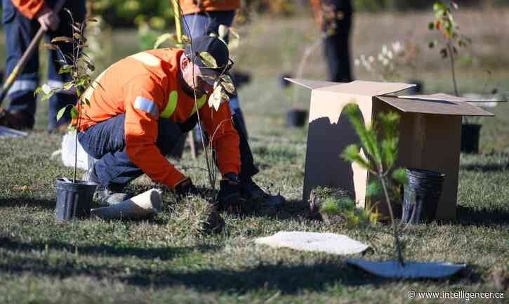 Nominate a local environmental champion for stewardship awards 