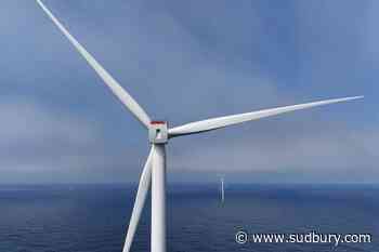 Trump administration to buy back another energy company's offshore wind leases for 4 more projects