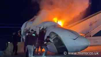 Tech bro 'godfather' killed after private jet crashes into motorway