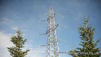 Northern Powergrid invests in North East power lines as power cut targets missed