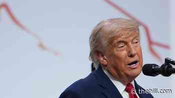 Trump scolds Netanyahu at G7 summit: ‘I feel bad for Lebanon'
