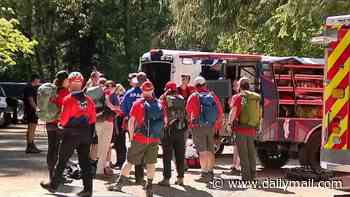 Group of teens are injured after being attacked by a bear on popular hiking route in Washington