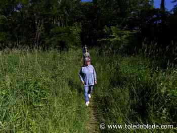 Maumee halts plans for disc golf course along Maumee River