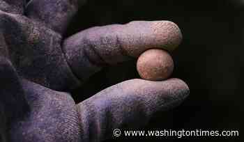 Archaeologists find musket balls and fort linked to the Battle of Bunker Hill