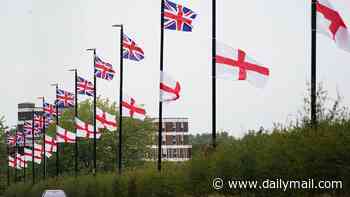 Liberal Democrat council starts legal battle in bid to ban flags from public roads amid claims they 'intimidate residents'