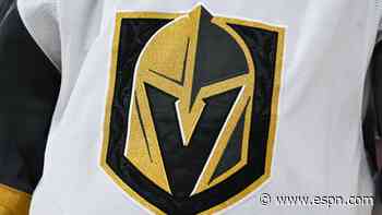 Knights promote Craig from AHL to be new coach