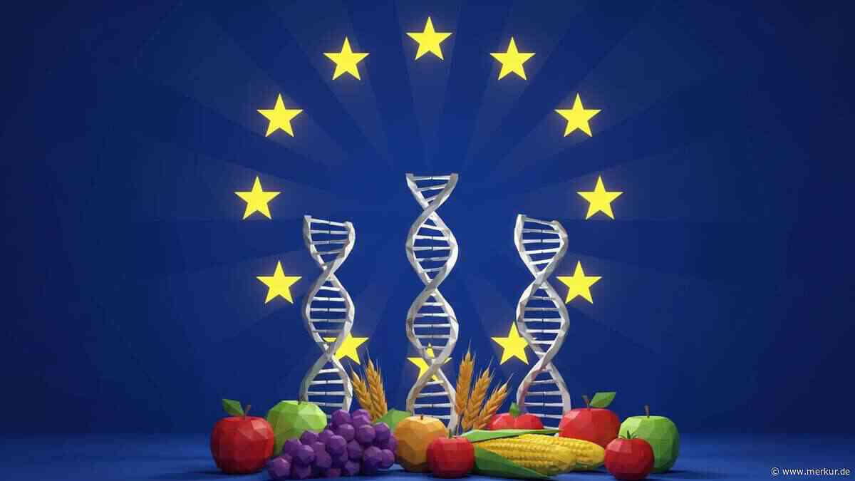 Gentechnik-Lebensmittel ohne Kennzeichnung im Supermarkt – EU beschließt neue Regeln