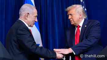 Trump on Israel: 'I do want them to use good judgment' 