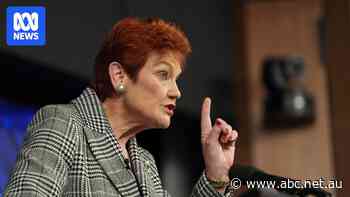 Hanson's fiery address creates risk for One Nation
