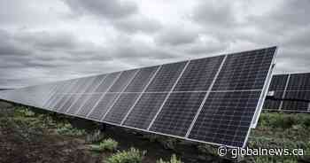 N.B. regulator revokes solar company’s licence after claims of unfulfilled orders