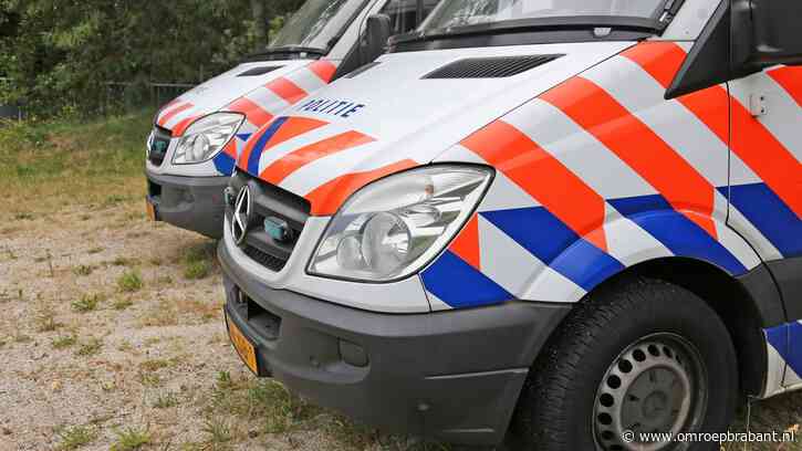 Vrouw gewond bij overval op Landgoed Wielewaal in Eindhoven
