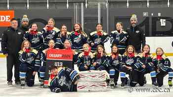 Yellowknife hockey players say changes to team structure for girls are offside