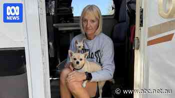 Homeless woman feels safer living in vehicle than shared housing