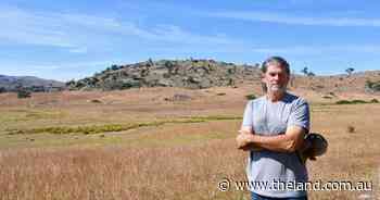 Unlocking the past: how uncovering farm history improved this producer's stocking rates