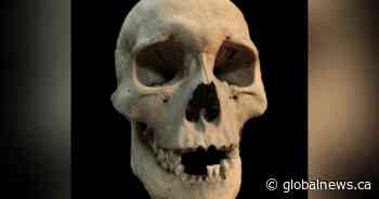 New evidence of origin of the black death a ‘complete surprise’ experts say