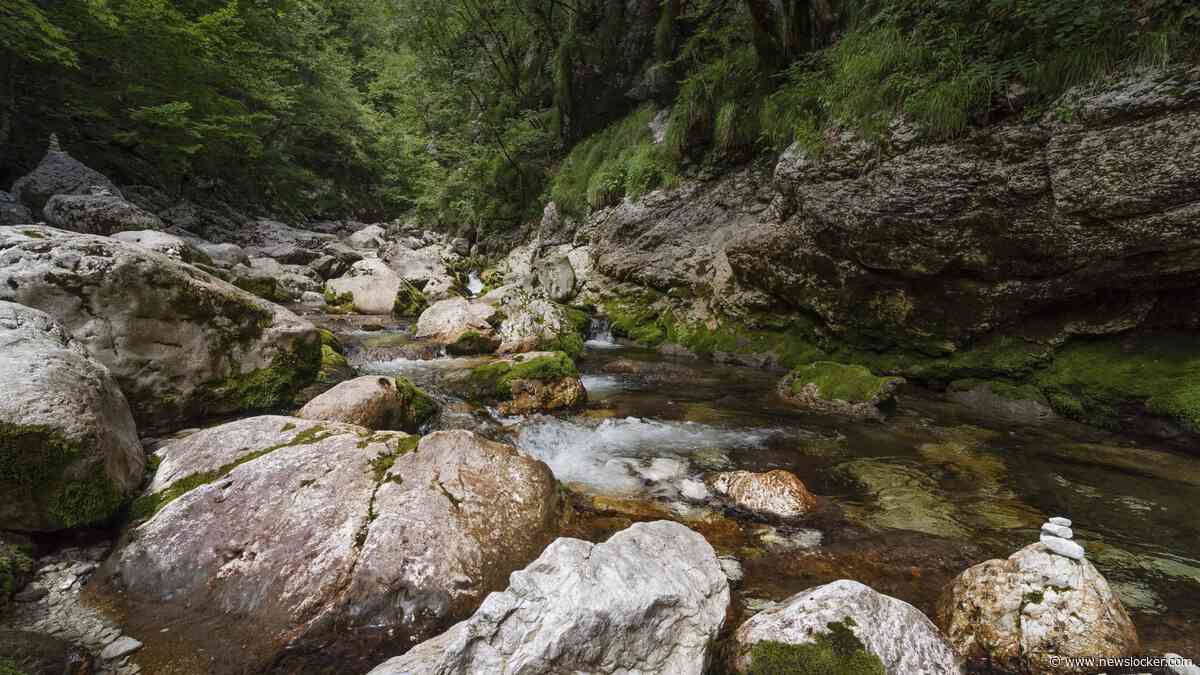 Drama in Slovenië: Nederlander (57) overlijdt tijdens afdaling in berggebied, stort vlakbij gezin in afgrond